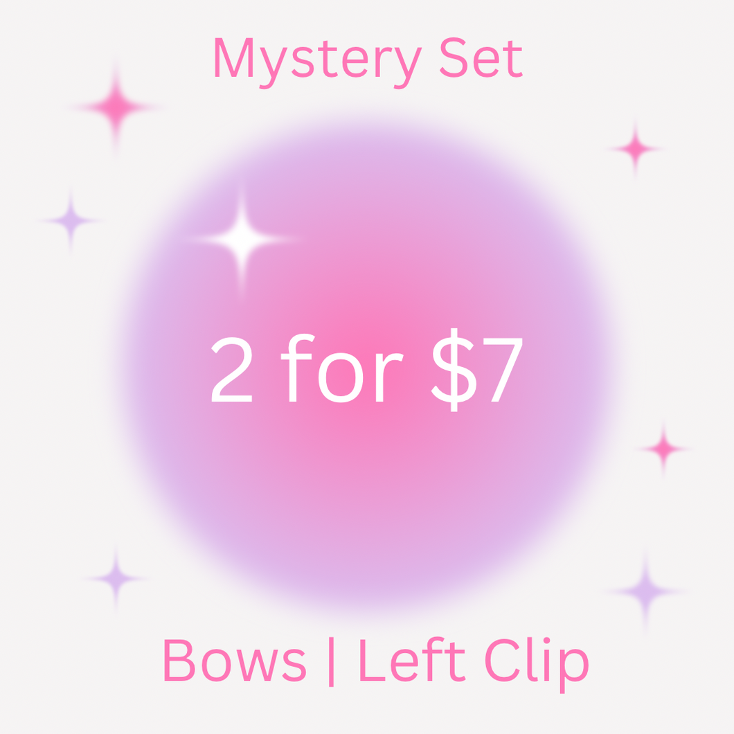 Mystery Bundle | Bows | Left Clip | Set of 2