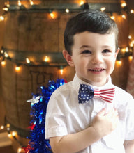 Load image into Gallery viewer, Leo | Stars and Stripes
