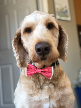 Load image into Gallery viewer, Furry Friends | Personalized

