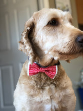 Load image into Gallery viewer, Furry Friends | Personalized

